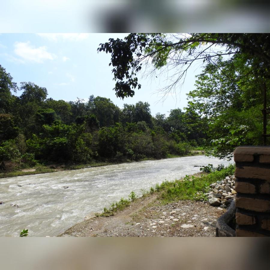 Camp Hornbill Corbett Hotel Ramnagar  Luaran gambar