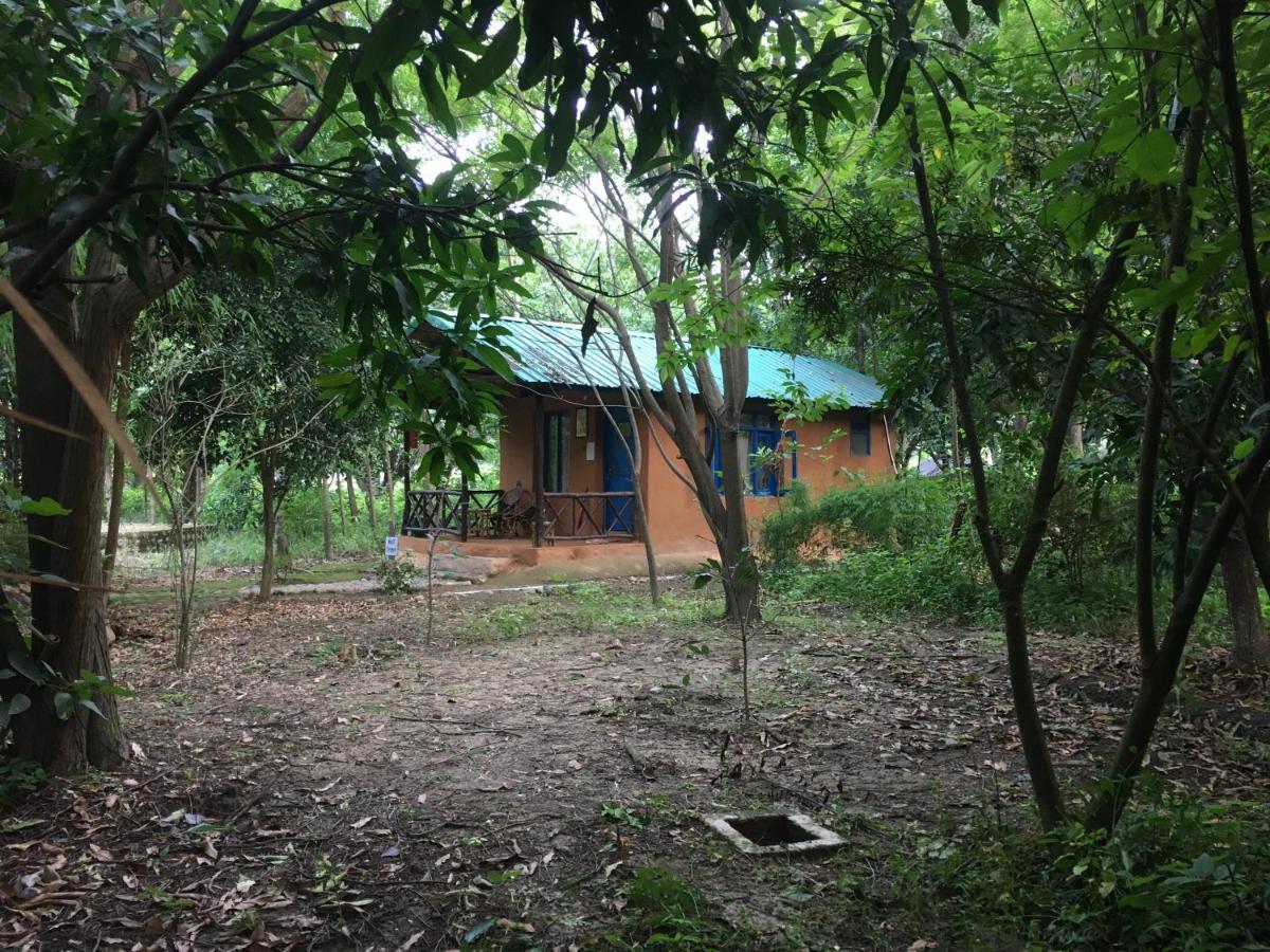 Camp Hornbill Corbett Hotel Ramnagar  Luaran gambar