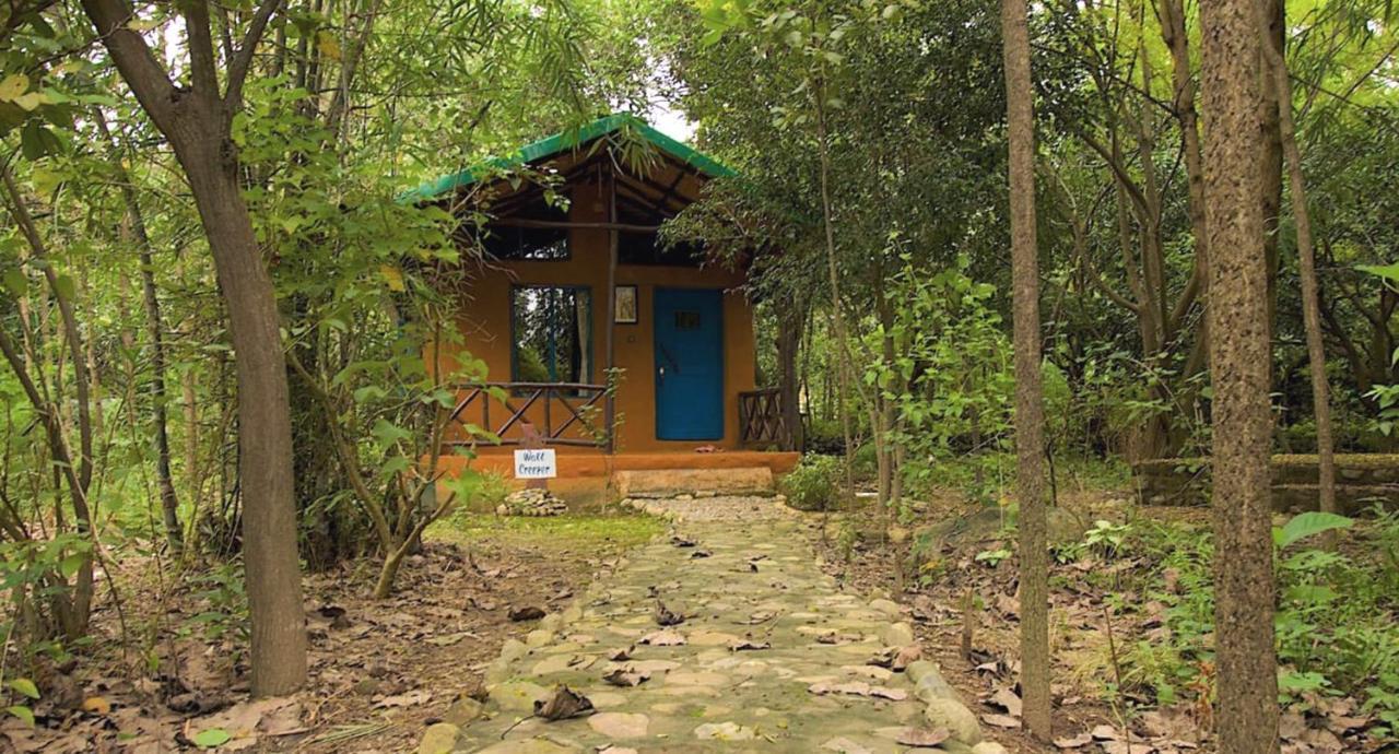Camp Hornbill Corbett Hotel Ramnagar  Luaran gambar