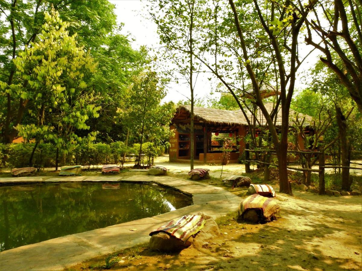 Camp Hornbill Corbett Hotel Ramnagar  Luaran gambar