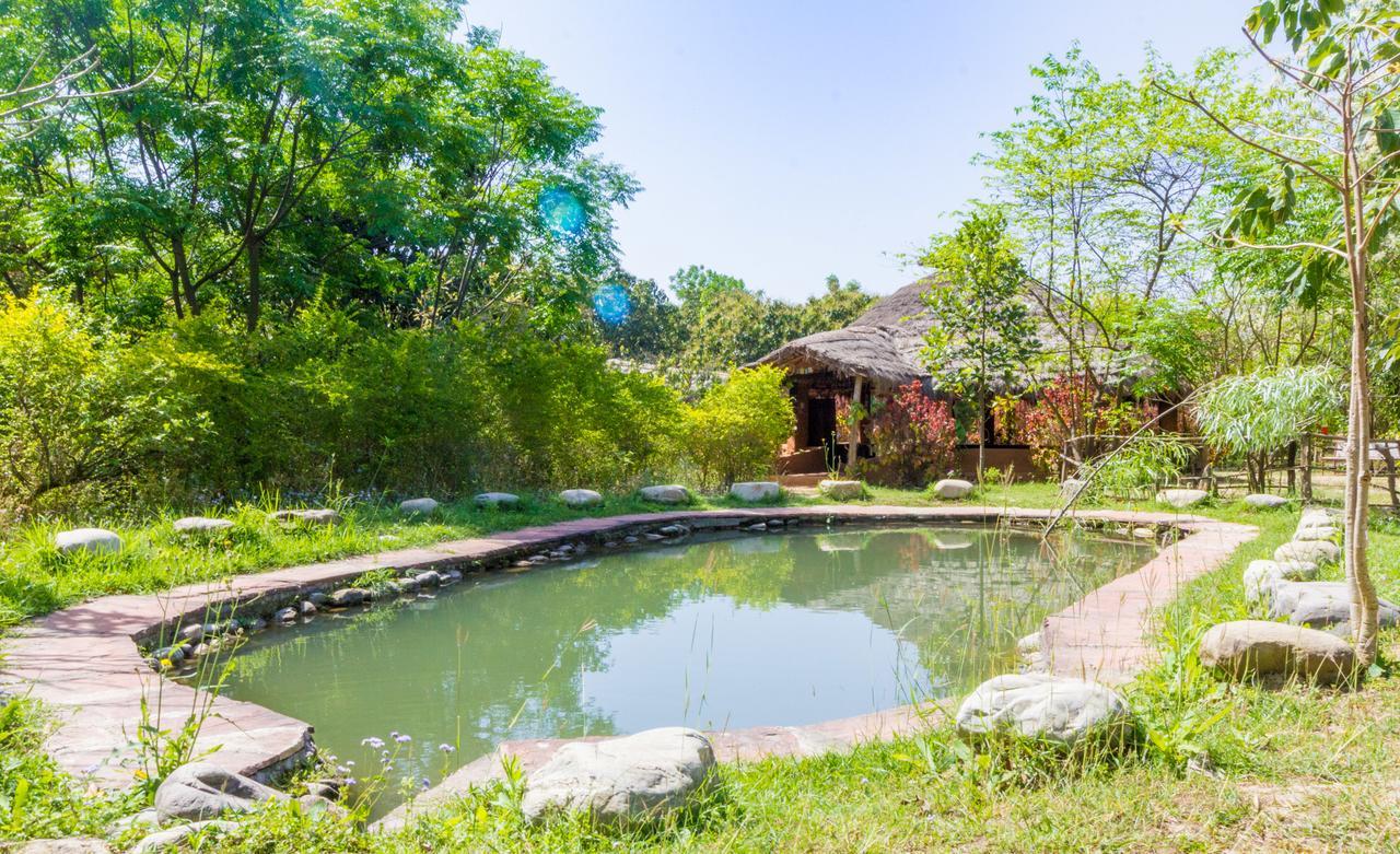 Camp Hornbill Corbett Hotel Ramnagar  Luaran gambar